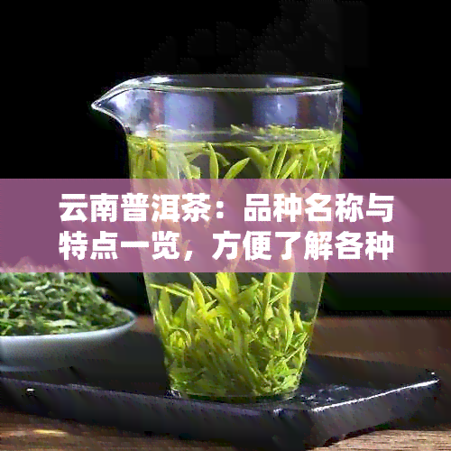 云南普洱茶：品种名称与特点一览，方便了解各种茶的形态、色泽和口感