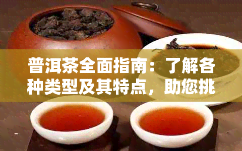 普洱茶全面指南：了解各种类型及其特点，助您挑选最适合的茶品