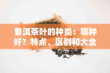 普洱茶叶的种类：哪种好？特点、区别和大全。