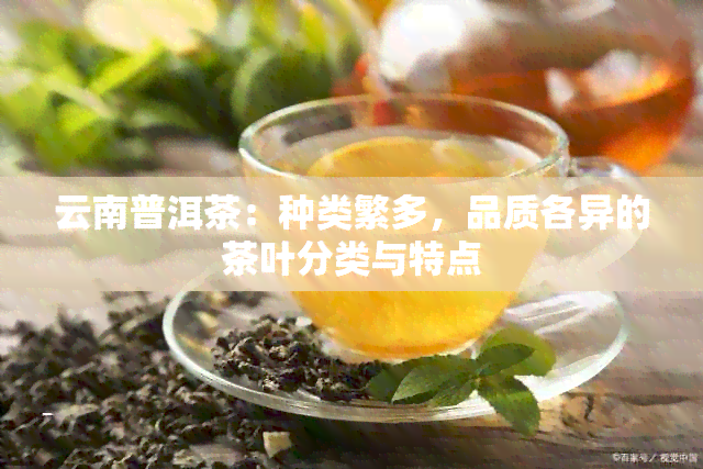 云南普洱茶：种类繁多，品质各异的茶叶分类与特点