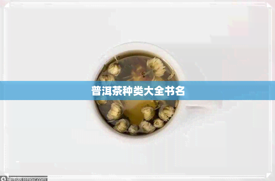 普洱茶种类大全书名