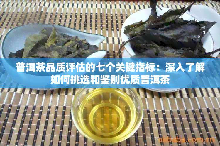 普洱茶品质评估的七个关键指标：深入了解如何挑选和鉴别优质普洱茶