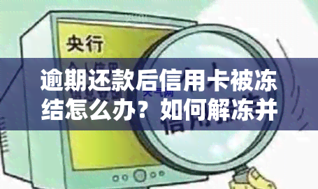 逾期还款后信用卡被冻结怎么办？如何解冻并避免类似问题再次发生？