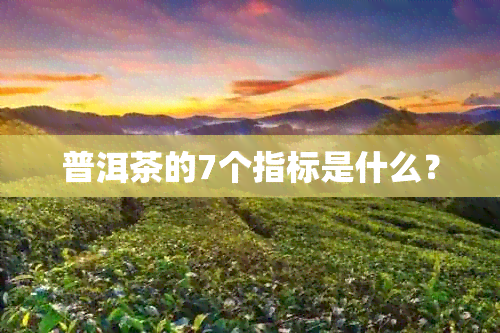 普洱茶的7个指标是什么？