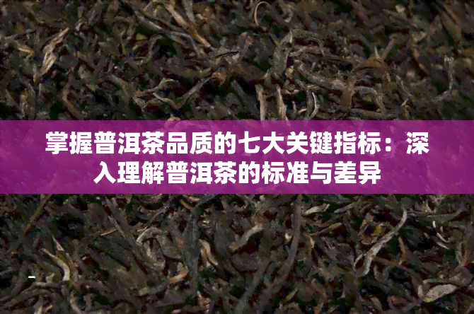 掌握普洱茶品质的七大关键指标：深入理解普洱茶的标准与差异