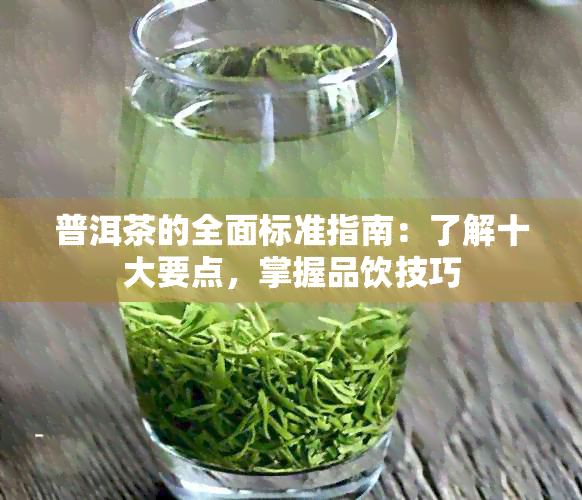 普洱茶的全面标准指南：了解十大要点，掌握品饮技巧