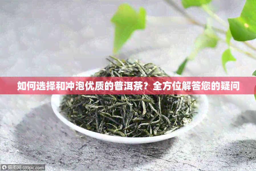 如何选择和冲泡优质的普洱茶？全方位解答您的疑问