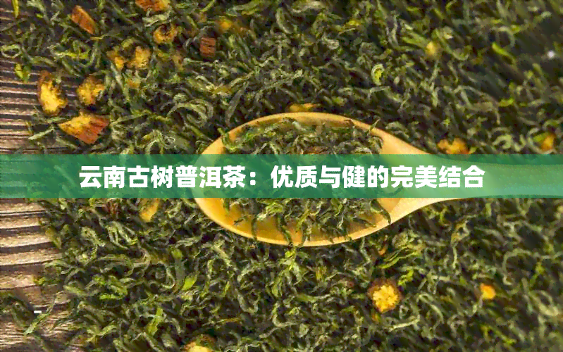 云南古树普洱茶：优质与健的完美结合