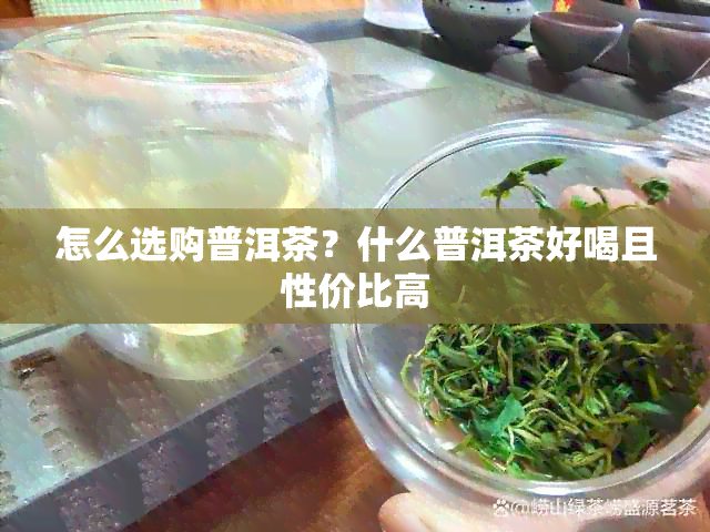 怎么选购普洱茶？什么普洱茶好喝且性价比高