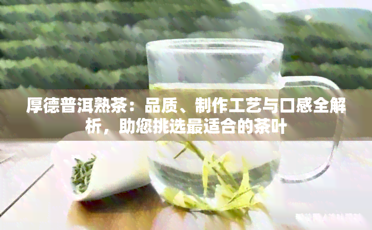 厚德普洱熟茶：品质、制作工艺与口感全解析，助您挑选最适合的茶叶