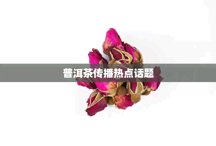 普洱茶传播热点话题