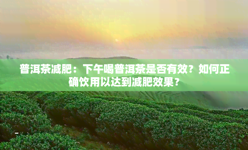 普洱茶减肥：下午喝普洱茶是否有效？如何正确饮用以达到减肥效果？