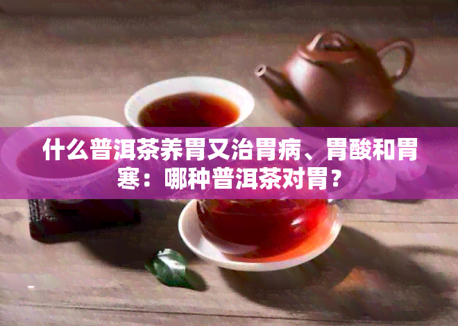 什么普洱茶养胃又治胃病、胃酸和胃寒：哪种普洱茶对胃？