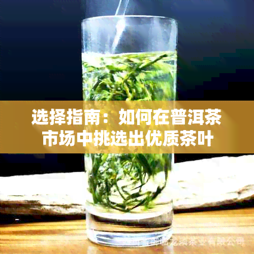 选择指南：如何在普洱茶市场中挑选出优质茶叶