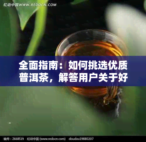 全面指南：如何挑选优质普洱茶，解答用户关于好坏的所有疑问