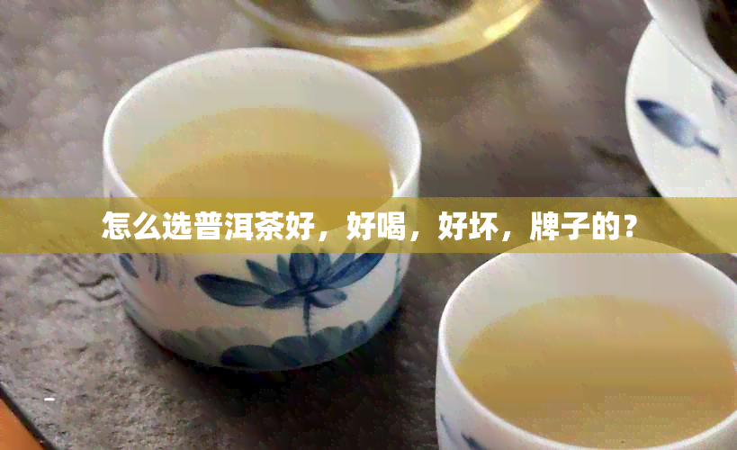 怎么选普洱茶好，好喝，好坏，牌子的？