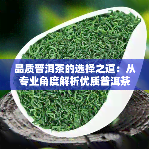 品质普洱茶的选择之道：从专业角度解析优质普洱茶的特征