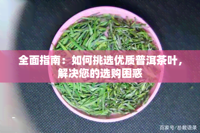 全面指南：如何挑选优质普洱茶叶，解决您的选购困惑