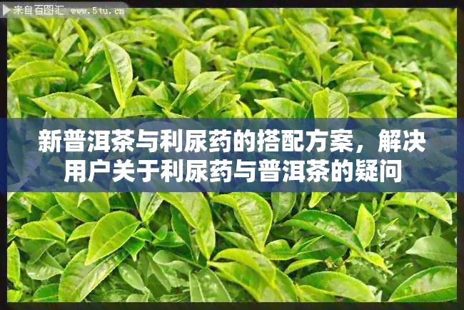 新普洱茶与利尿的搭配方案，解决用户关于利尿与普洱茶的疑问