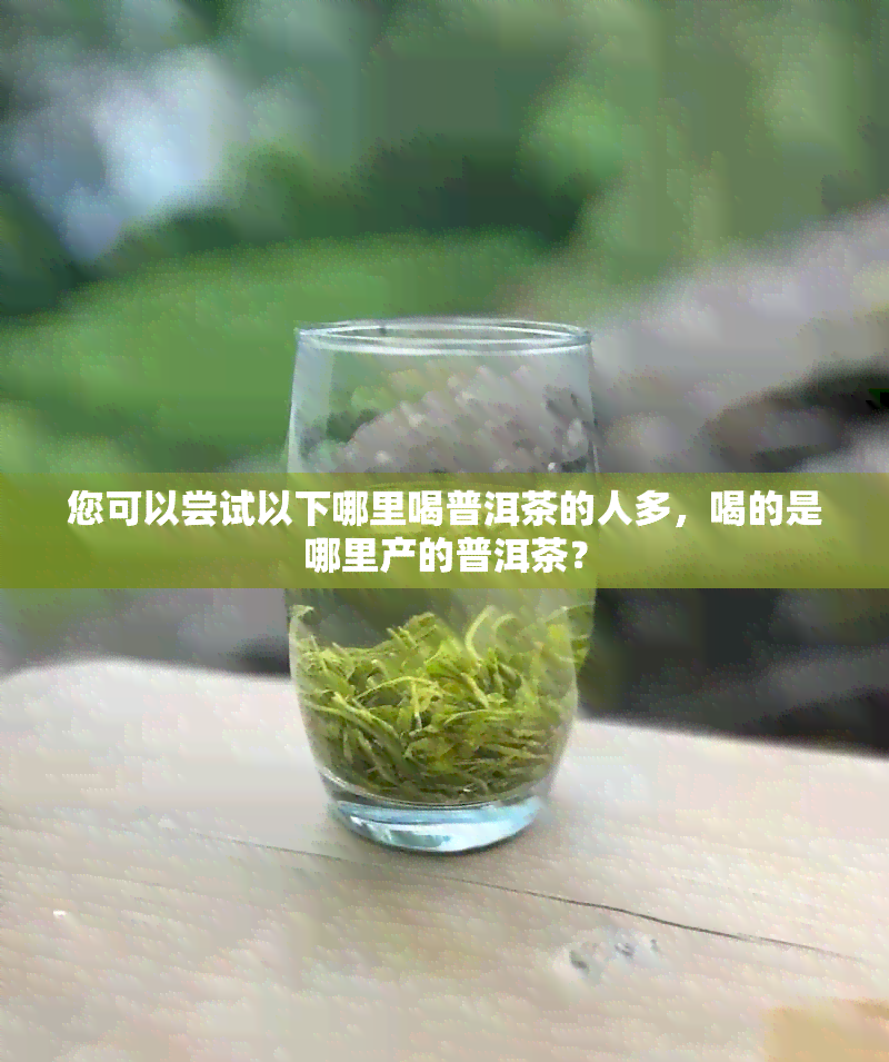 您可以尝试以下哪里喝普洱茶的人多，喝的是哪里产的普洱茶？