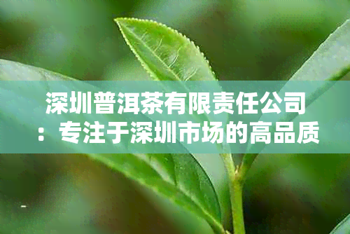 深圳普洱茶有限责任公司：专注于深圳市场的高品质普洱茶供应