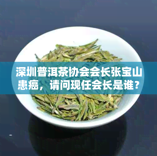 深圳普洱茶协会会长张宝山患癌，请问现任会长是谁？