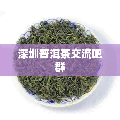 深圳普洱茶交流吧群