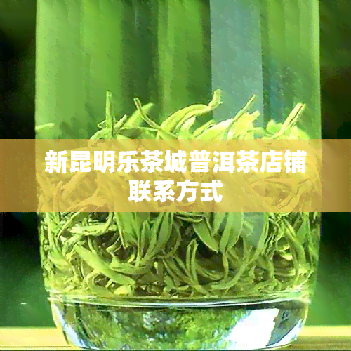 新昆明乐茶城普洱茶店铺联系方式