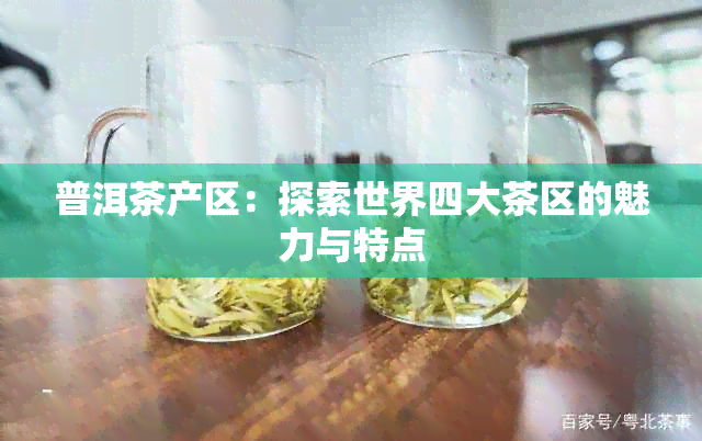 普洱茶产区：探索世界四大茶区的魅力与特点