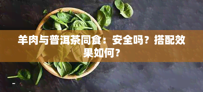 羊肉与普洱茶同食：安全吗？搭配效果如何？