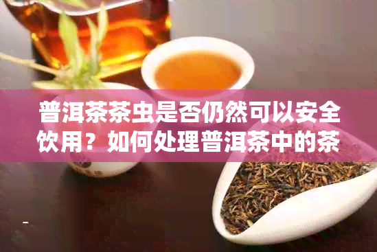 普洱茶茶虫是否仍然可以安全饮用？如何处理普洱茶中的茶虫？