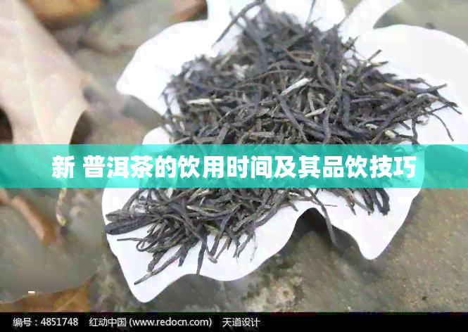 新 普洱茶的饮用时间及其品饮技巧