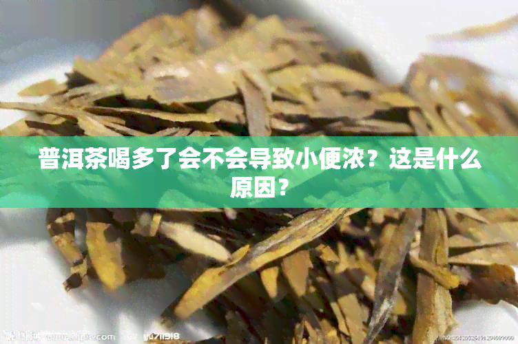 普洱茶喝多了会不会导致小便浓？这是什么原因？