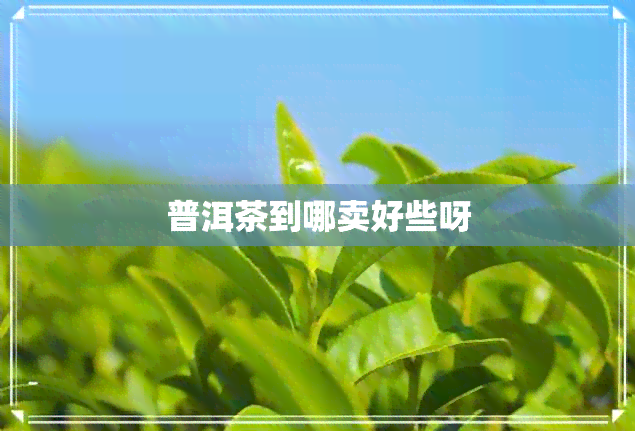 普洱茶到哪卖好些呀