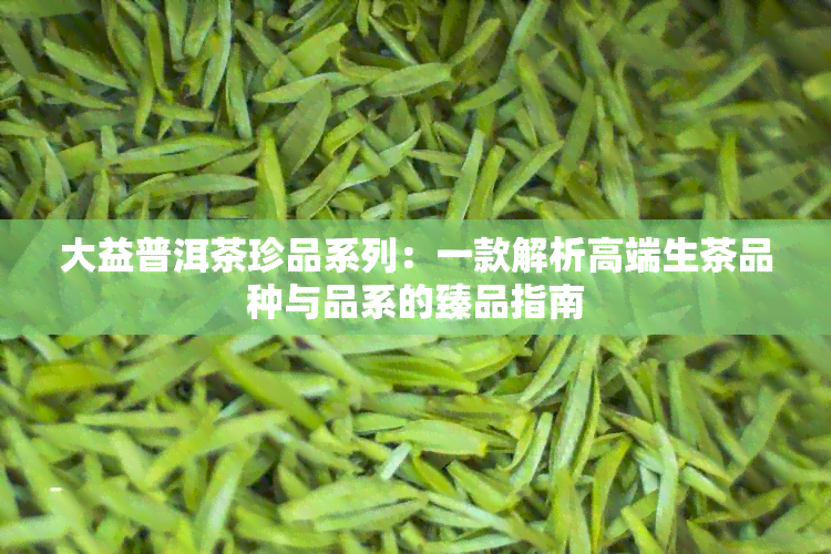 大益普洱茶珍品系列：一款解析高端生茶品种与品系的臻品指南