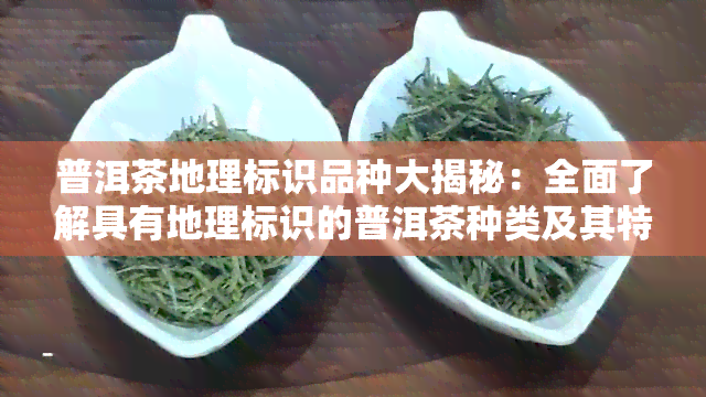 普洱茶地理标识品种大揭秘：全面了解具有地理标识的普洱茶种类及其特点