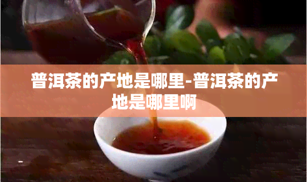 普洱茶的产地是哪里-普洱茶的产地是哪里啊