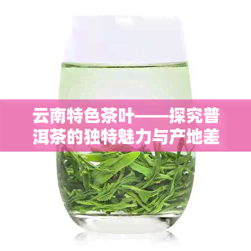 云南特色茶叶——探究普洱茶的独特魅力与产地差异