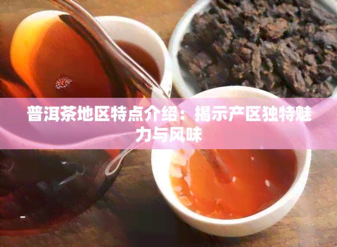 普洱茶地区特点介绍：揭示产区独特魅力与风味