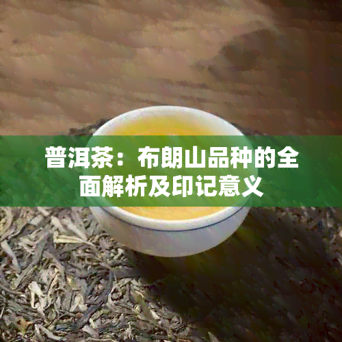 普洱茶：布朗山品种的全面解析及印记意义