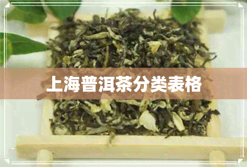 上海普洱茶分类表格