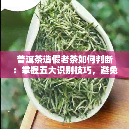 普洱茶造假老茶如何判断：掌握五大识别技巧，避免上当受骗