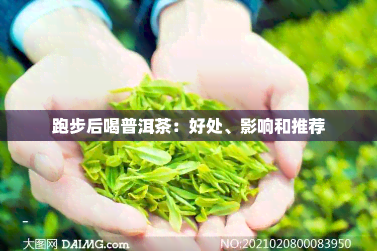 跑步后喝普洱茶：好处、影响和推荐