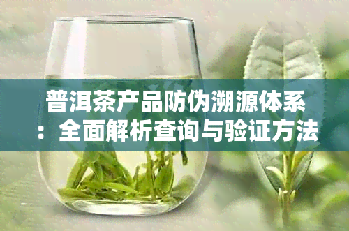 普洱茶产品防伪溯源体系：全面解析查询与验证方法