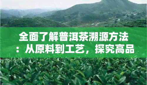 全面了解普洱茶溯源方法：从原料到工艺，探究高品质普洱茶的诞生之路