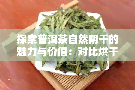 探索普洱茶自然阴干的魅力与价值：对比烘干与晒干的优缺点