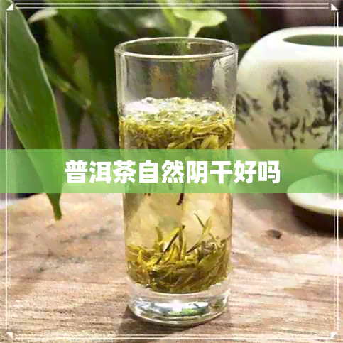 普洱茶自然阴干好吗