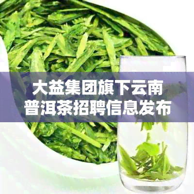 大益集团旗下云南普洱茶招聘信息发布，直聘岗位多，机会不容错过！