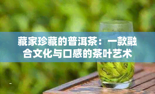 藏家珍藏的普洱茶：一款融合文化与口感的茶叶艺术