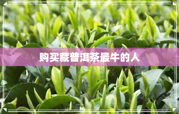 购买藏普洱茶最牛的人